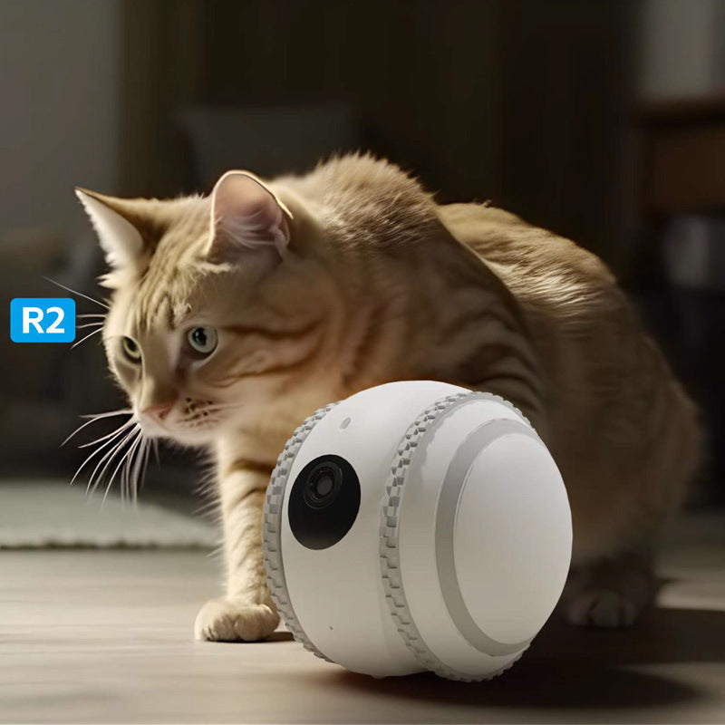 PetPal Rover - Smart Pet Companion