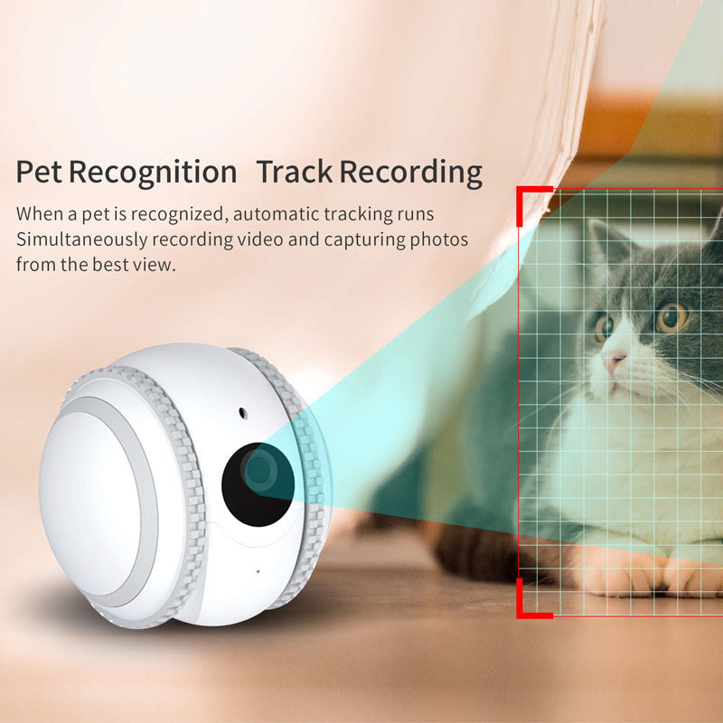 PetPal Rover - Smart Pet Companion