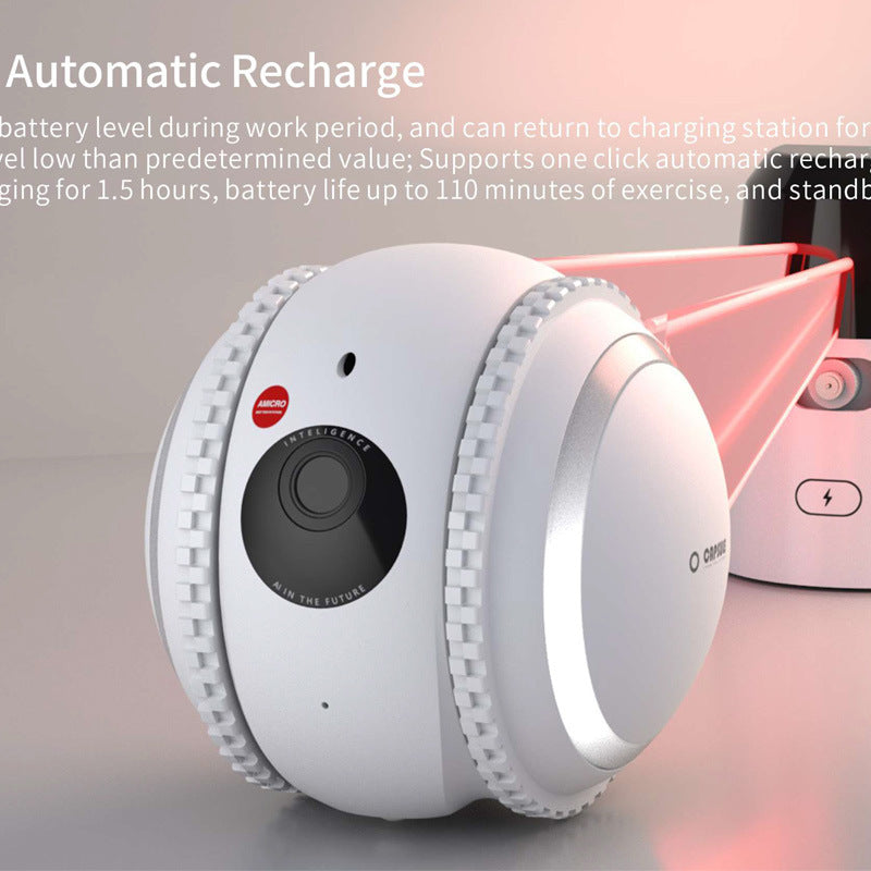 PetPal Rover - Smart Pet Companion