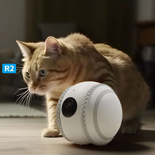 PetPal Rover - Smart Pet Companion