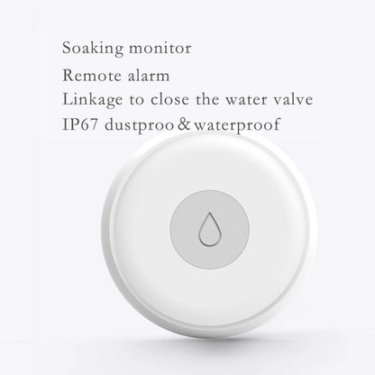 AquaGuard - Smart Leak Detector